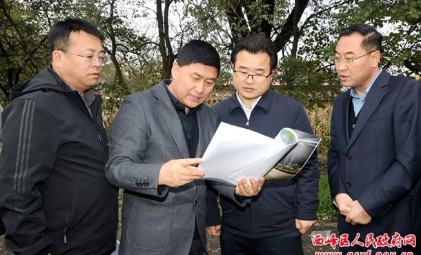 孔衛(wèi)濤調研園林綠化和路燈改造工作